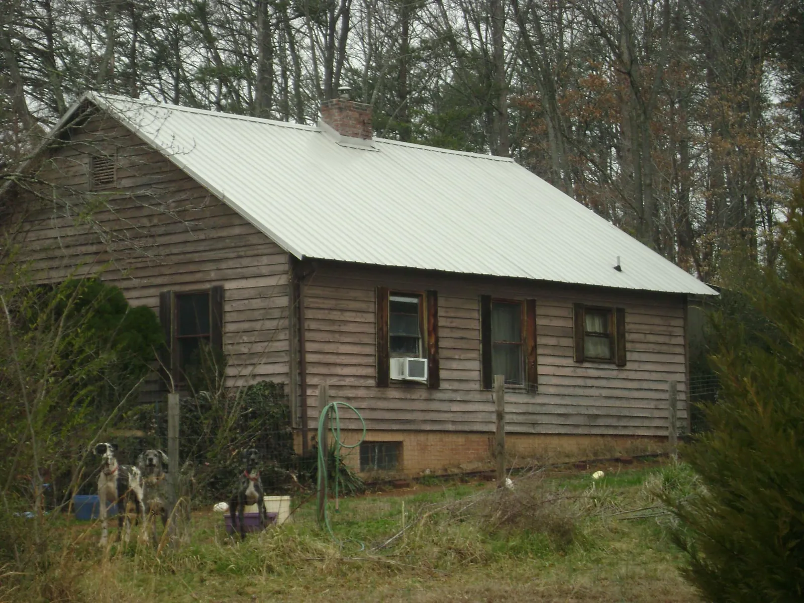 White metal roof on an old wood sided farmhouse, from a Asphalt Shingle Roof Repair job in Fall Creek